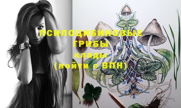ешки Гусиноозёрск