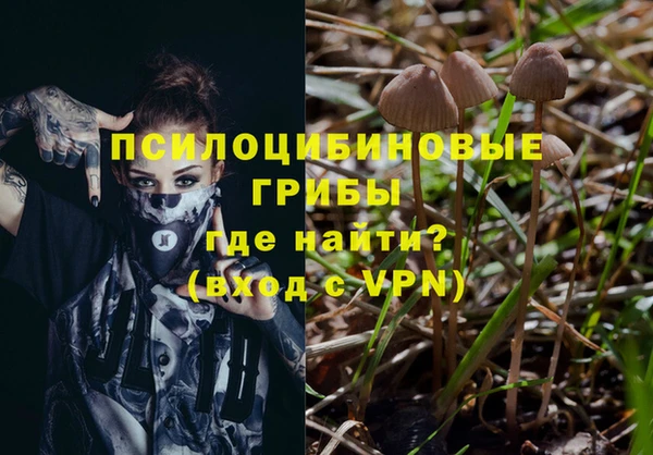 мефедрон мука Гусь-Хрустальный