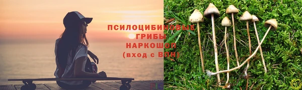 ешки Гусиноозёрск